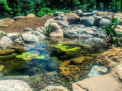 Rocky garden pond with lily pads and waterfall.