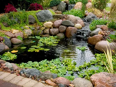 Garden pond with rocks and plants