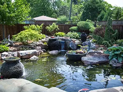 Serene backyard pond with rocks and plants