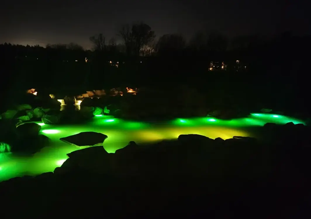 Pond illuminated with green lights at night