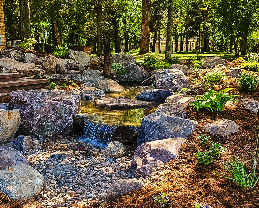 Tranquil garden stream with rocks and plants.