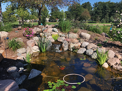 Garden pond with rocks and plants