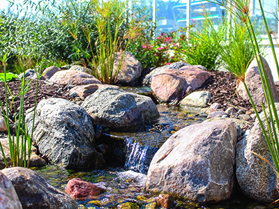 Garden stream flowing over rocks surrounded by plants.