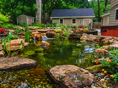 Backyard pond with rocks and greenery