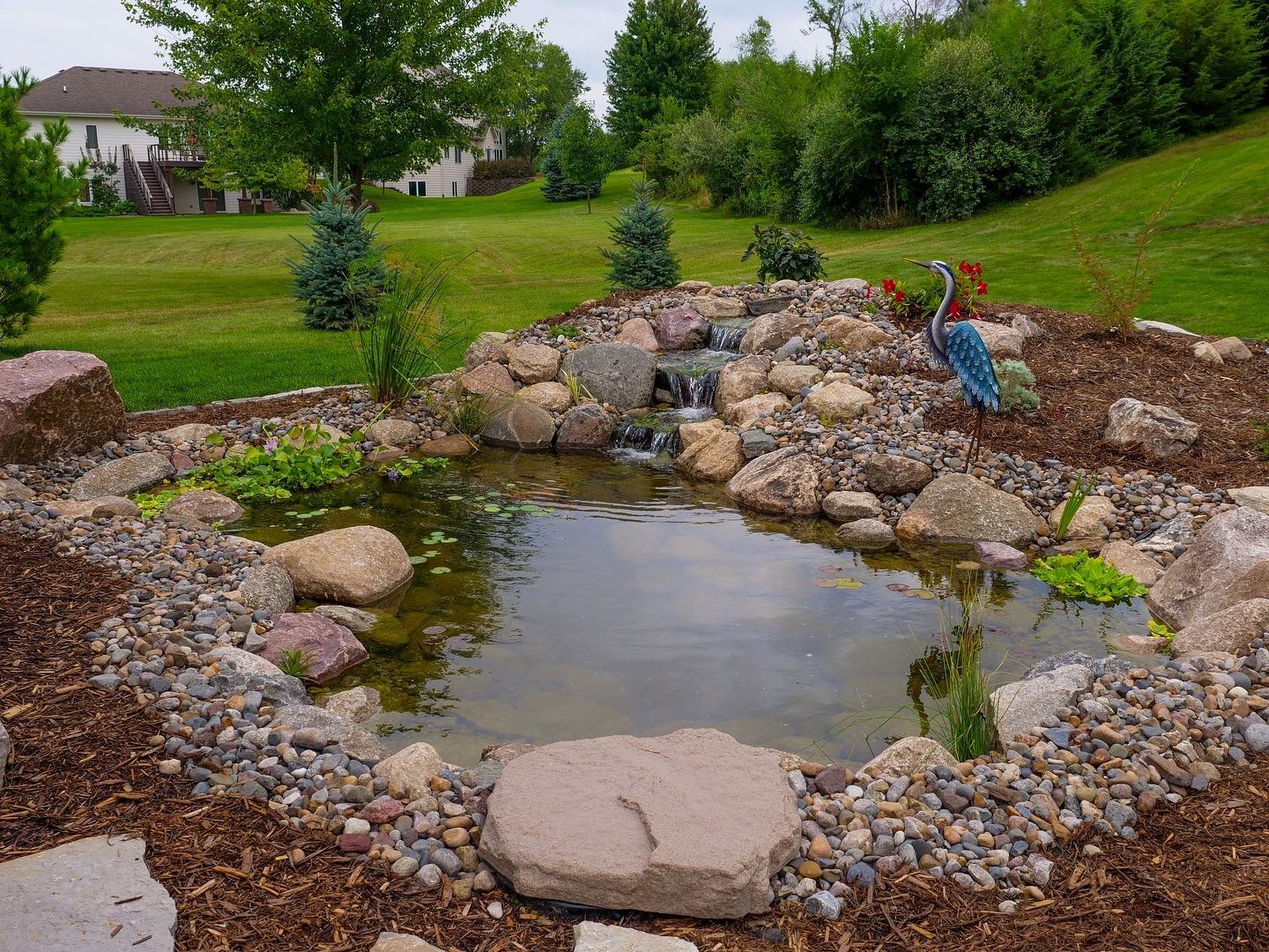 Backyard pond with waterfall and garden landscape.